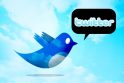 Koks socialinio tinklo „Twitter“ paukščiuko vardas?
