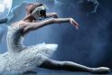 Maskvos Didžiojo teatro žvaigždės „Gulbių ežerą“ šoks Galvės ežere
