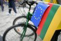 Europarlamentarai Lietuvoje domėsis žmogaus teisių padėtimi