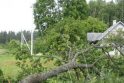 RST dėl audros patyrė per 1 mln. litų nuostolių