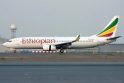 Radiniai: jūra pamažu atiduoda &quot;Ethiopian Airlines&quot; lėktuvo dalis ir katastrofos aukas.