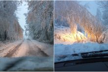 Kelininkai perspėja dėl sudėtingų eismo sąlygų: vairuotojai, rinkitės saugų greitį