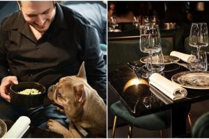 Romoje atidarytas pirmasis Italijoje šunų restoranas sulaukia svečių