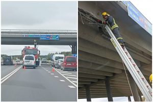 Ekskavatorius rėžėsi į viaduką: betono kruša apgadino du automobilius