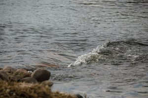 Karinės jūrų pajėgos Nemuno deltoje gelbėjo sugedusios jachtos įgulą