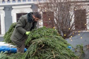 Tęsiama tradicinė Kalėdų akcija: miškininkai vėl nemokamai dalins eglių šakas