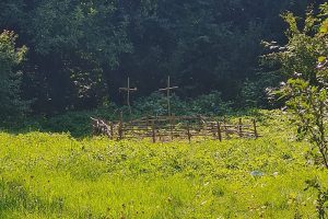 Nelegalios kapinės – ne išeitis: kur Klaipėdoje laidoti gyvūnus?