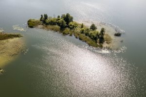 Jubiliejų švenčiantys regioniniai parkai pristatys savo vertybes