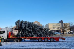 Klaipėdos Kalėdų eglė – jau Teatro aikštėje