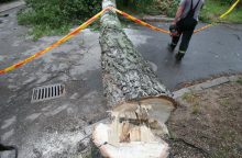 Ugniagesiai 214 kartų vyko šalinti nuvirtusių medžių, tūkstančiai žmonių liko be elektros