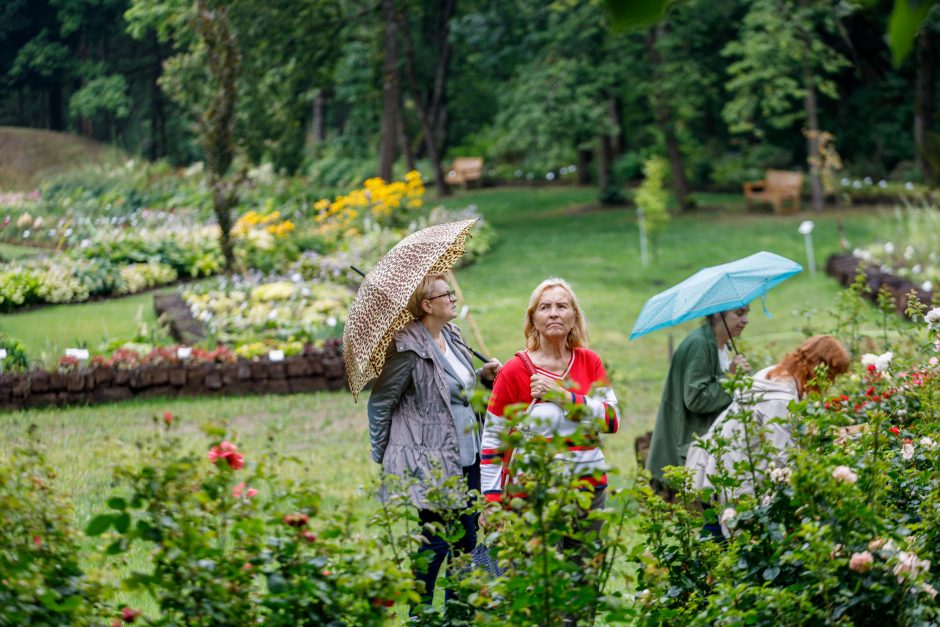 Duftende og inspirerende: en unik feiring i Botanisk hage