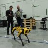 Kaune robotikos specialistai „dresuoja“ pažangiausią keturkojį robotą