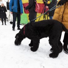 Vilniuje paminėti tibetiečių Naujieji metai