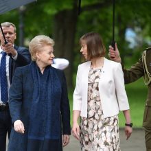 D. Grybauskaitė – aštuoneri metai prezidento poste