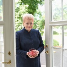 D. Grybauskaitė – aštuoneri metai prezidento poste