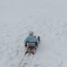 Sniego dienos pramogos į Pažaislį sukvietė būrį kauniečių