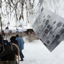 Sniego dienos pramogos į Pažaislį sukvietė būrį kauniečių