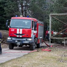 Gaisre žuvusių mažylių byla: teisiama jų motina pripažino savo kaltę