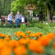 „Kvapų naktyje“ aromatai kuteno nosį, atgijo stebuklingas vaikystės sodas