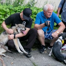 Parodos kalno šturmas: žmonės kopė kirpdamiesi, su vaišių stalais, šunys – neštuvuose