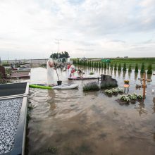 Vainatrakio kapinėse apsilankęs kaunietis: situacija čia siaubinga