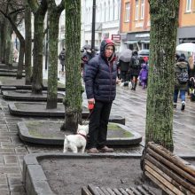 Užuosti Kalėdų oras nesutrukdė