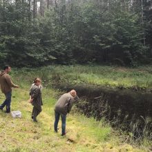 Raudonpilvės kūmutės ir baliniai vėžliai – iš Lietuvos zoologijos sodo į Dzūkiją