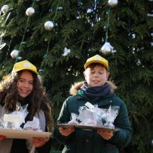 Įžiebta Kalėdų eglė Šiauliuose paskelbė „Šimtmečio Kalėdų“ pradžią