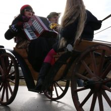 Ką per Užgavėnes lanko gervė arba kodėl šią dieną negalima dirbti?