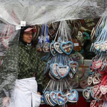 Į tradicinį alaus festivalį „Oktoberfest“ Miunchene – tik praėjus patikrą