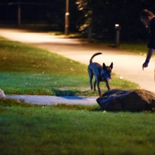 Švedijoje per ginkluotą išpuolį sužeisti keturi žmonės