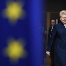 D. Grybauskaitė žada paramą D. Tuskui