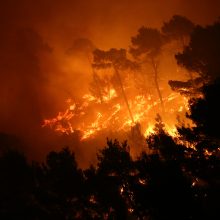 Kroatijoje miško gaisrai kelia pavojų svarbiam uostui