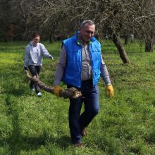 Obelynė bus tvarkoma išsaugant savastį