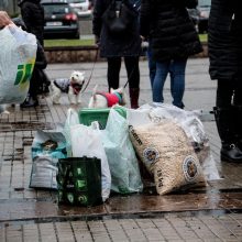 Užuosti Kalėdų oras nesutrukdė