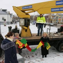 Visos Žemaitijos sostinės meškos pasipuošė trispalviais šalikais