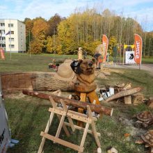 Medžio drožėjai pasiryžo sukurti 100 skulptūrų Lietuvai