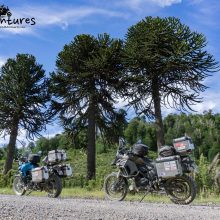 Aplink pasaulį keliaujanti pora motociklais jau įveikė 10 tūkst. kilometrų