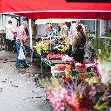 Turguje – pigesnių vaisių ir uogų viliotinis 