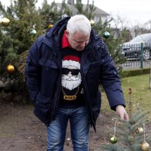 Kalėdinę eglę miestui dovanojusiems klaipėdiečiams – nauja eglutė