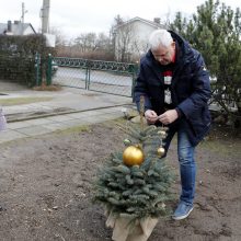 Kalėdinę eglę miestui dovanojusiems klaipėdiečiams – nauja eglutė