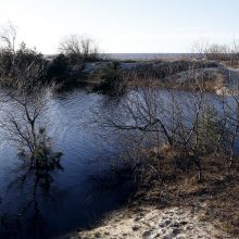 Kopose tyvuliuoja vandens telkinys