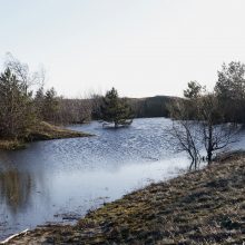 Kopose tyvuliuoja vandens telkinys