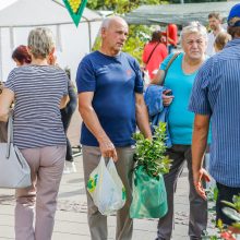 100-mečio obuolių šventė ūžė Gargžduose