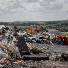 Smarve Klaipėdoje susidomėjo ir aplinkos ministras