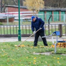 Klaipėdiečiai miesto centre grėbė lapus