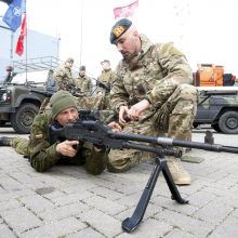 Kruizinių laivų terminale – išsišokėlių provokacijos