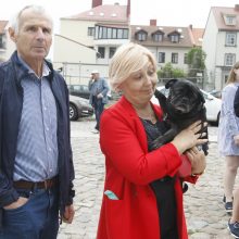 Uostamiesčio Laivų parade – pramogų vajus