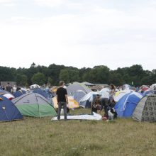 Festivalyje ir vogė, ir svaiginosi