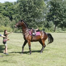 Priekulėje – žirgų sporto ir miesto šventė